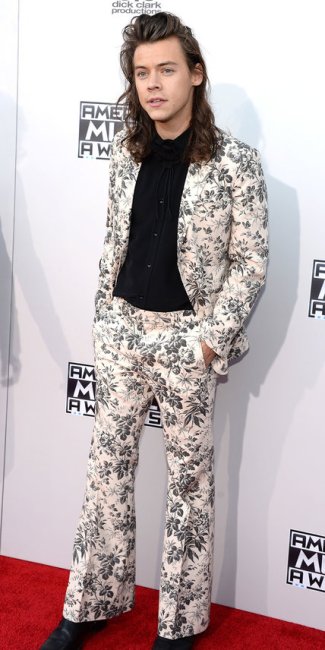 2015 American Music Awards - Red Carpet