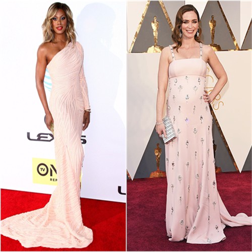 picture2life_26764_original