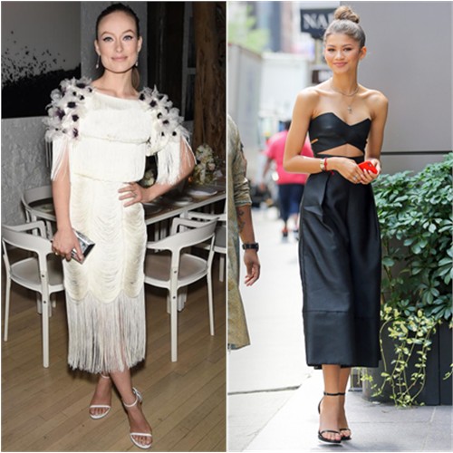 picture2life_54316_original