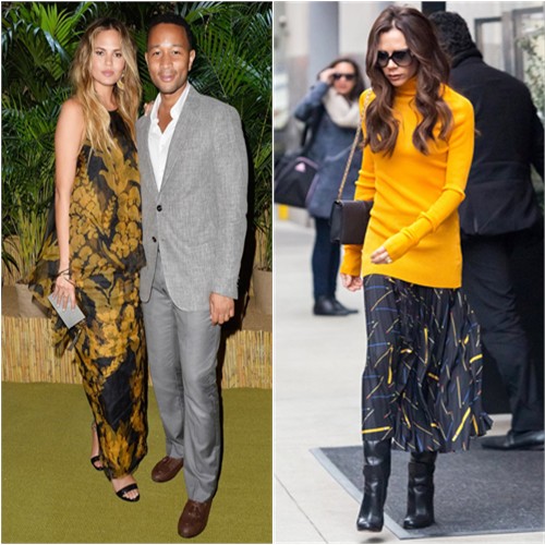 picture2life_98561_original