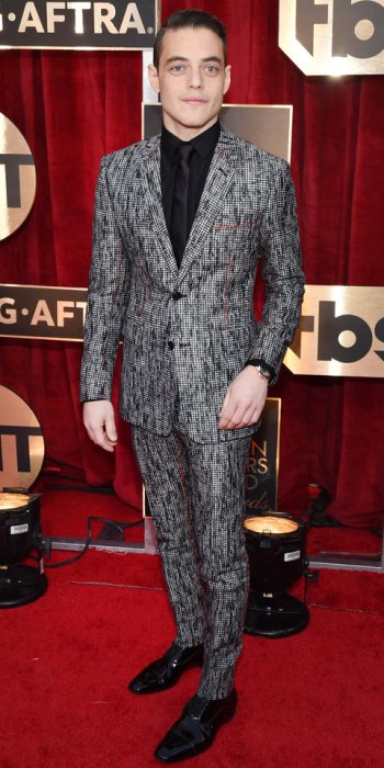 23rd Annual Screen Actors Guild Awards - Red Carpet