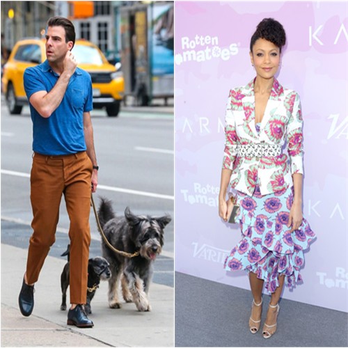 picture2life_11110_original