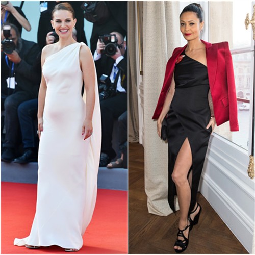 picture2life_71024_original