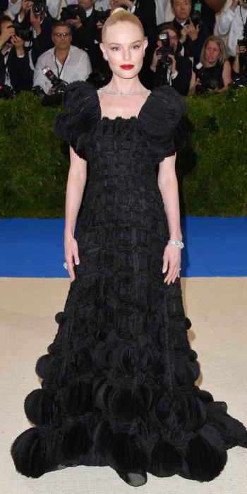 050117-met-gala-2017-kate-bosworth