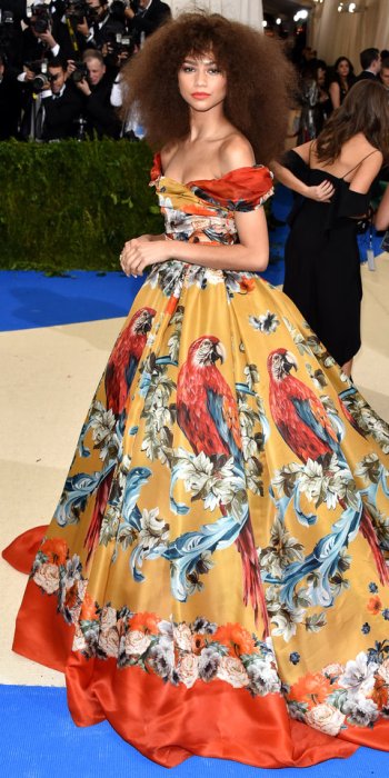 050117-met-gala-2017-zendaya